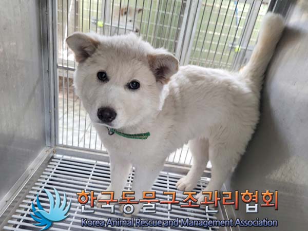 한국동물구조관리협회_441560202400454